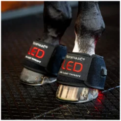 Loesdau Gamaschen|Therapie<HORSEWARE Hufglocke LED Red Light Therapy