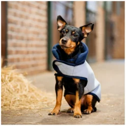 Loesdau Hundemäntel<HORSEWARE Hundemantel Fleece