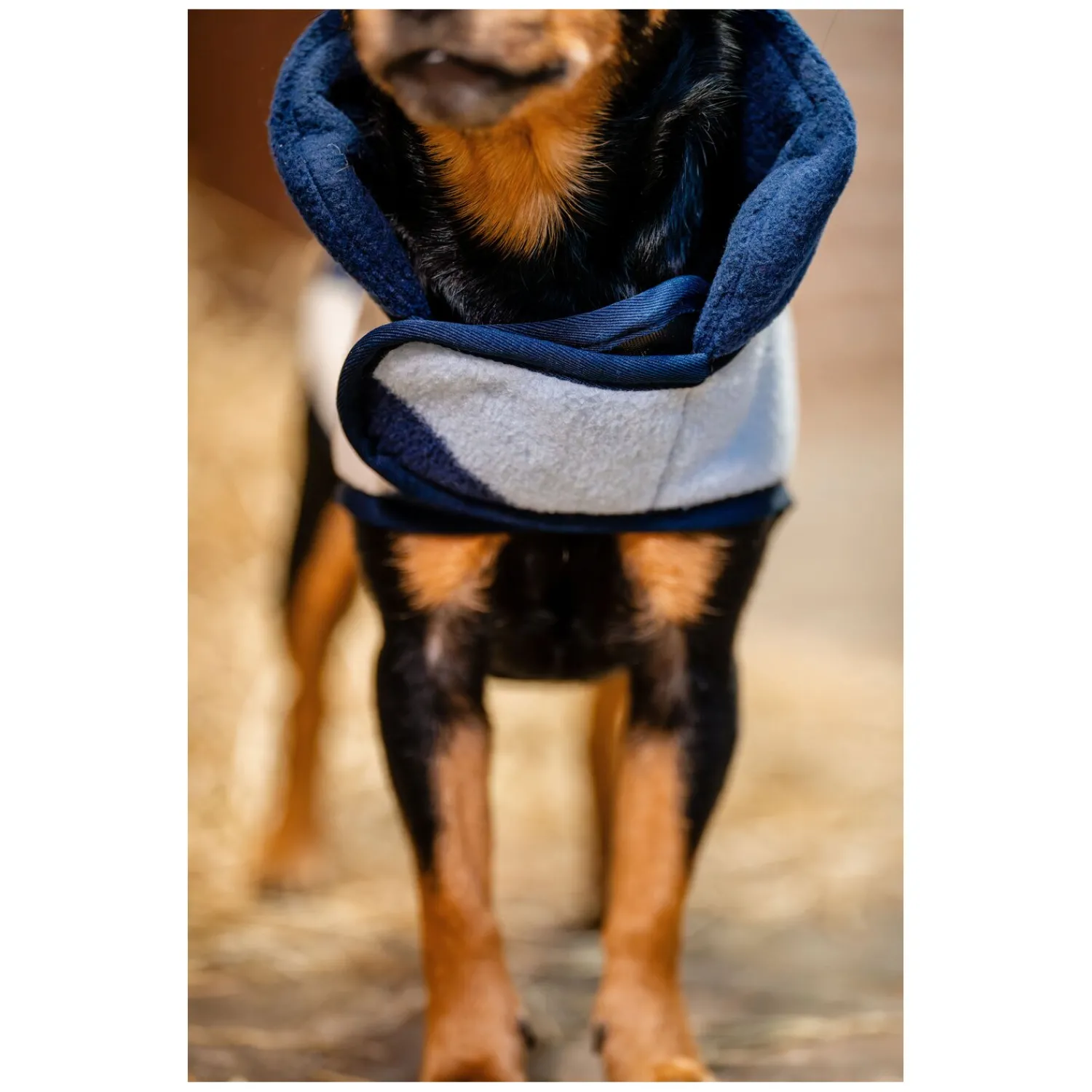 Loesdau Hundemäntel<HORSEWARE Hundemantel Fleece
