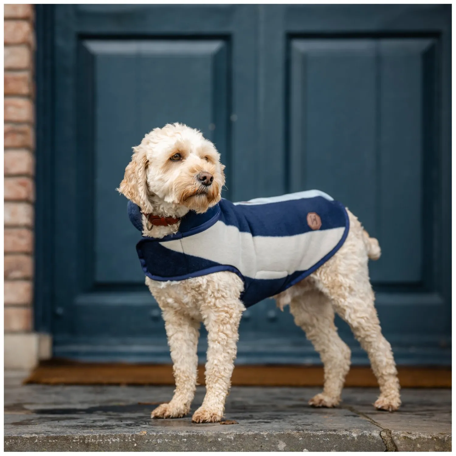 Horseware Hundemäntel<Hundemantel Newmarket Dog Fleece