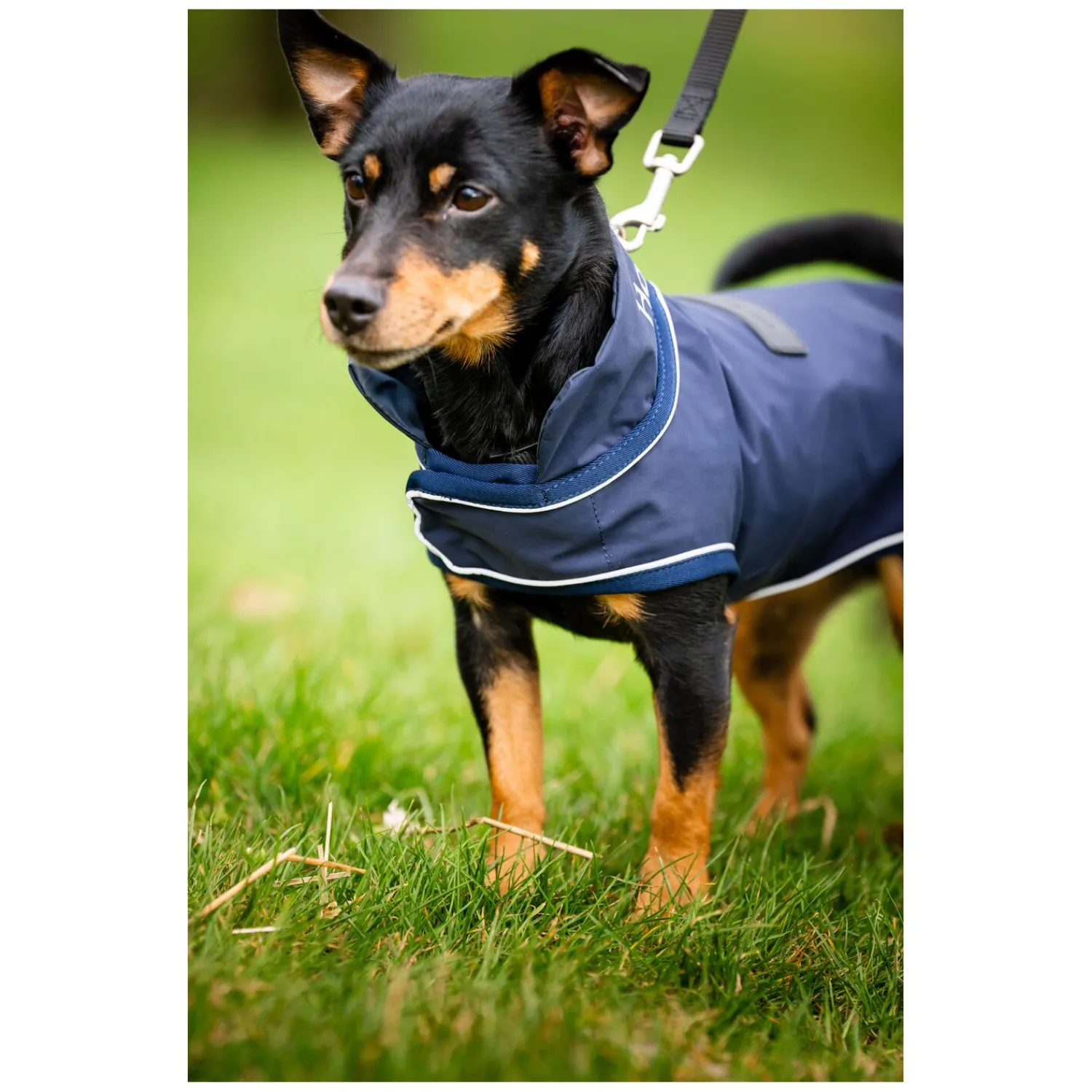 Horseware Hundemäntel<Hunde-Regenmantel