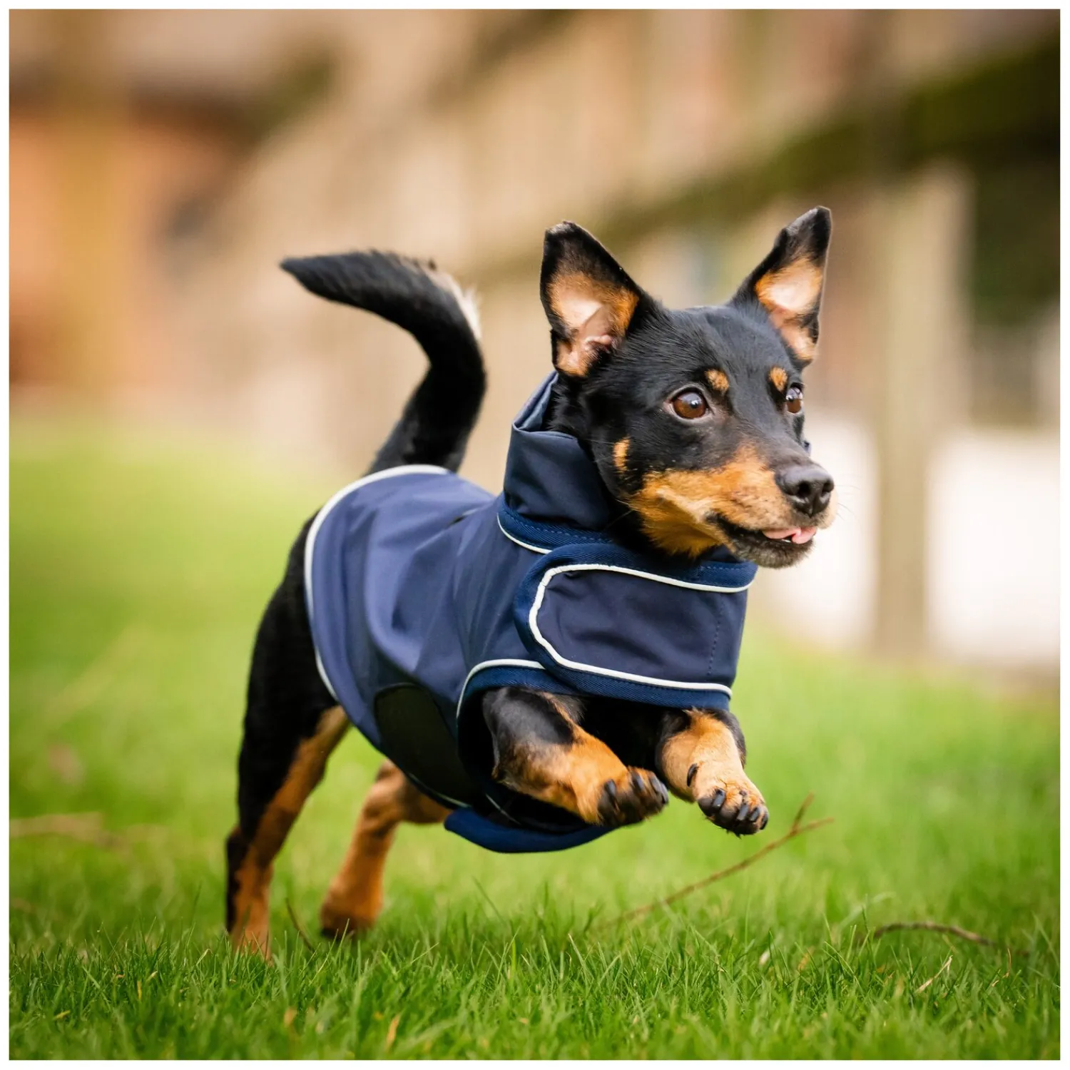 Horseware Hundemäntel<Hunde-Regenmantel