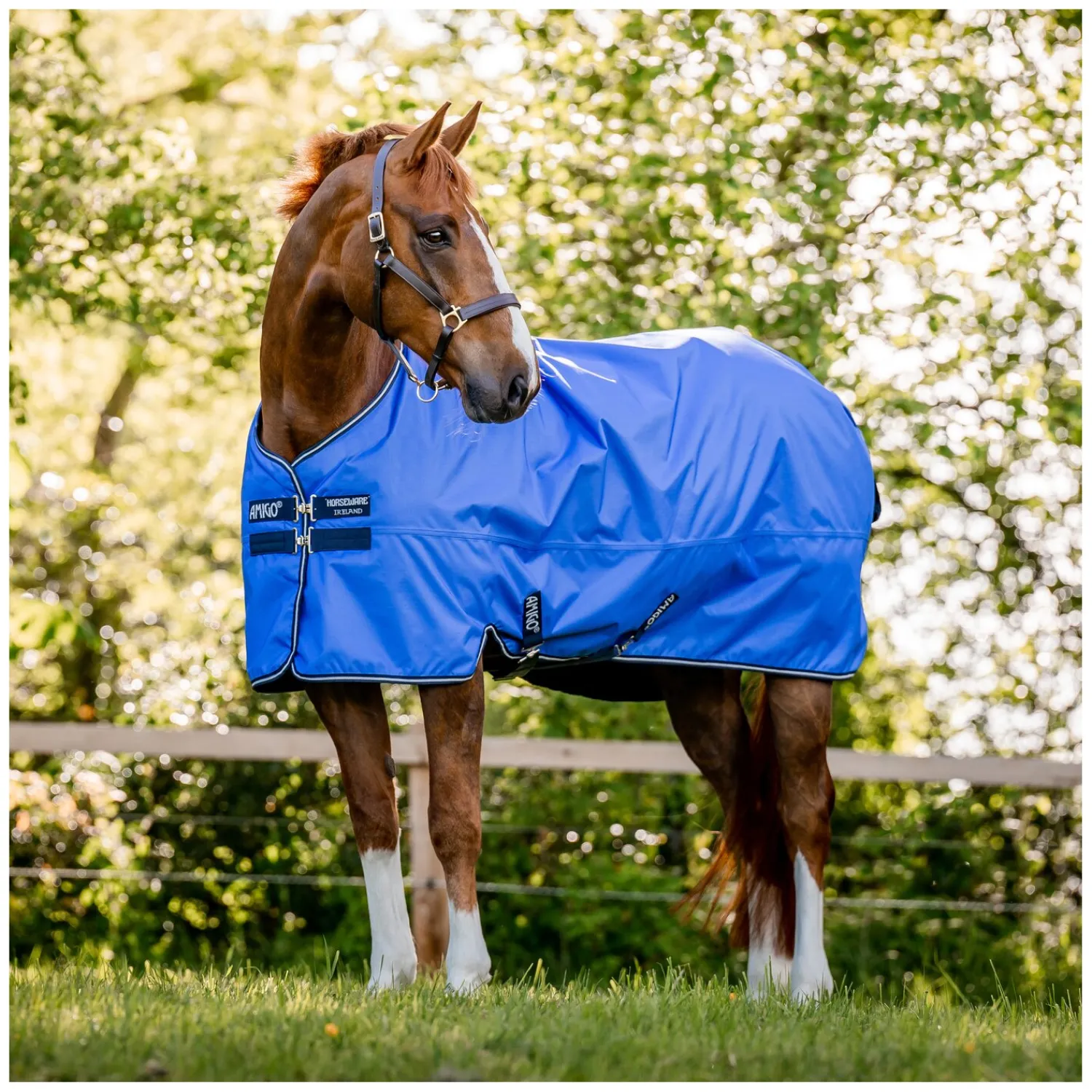 Horseware Pferdedecken<Outdoordecke AMIGO Hero Ripstop Lite