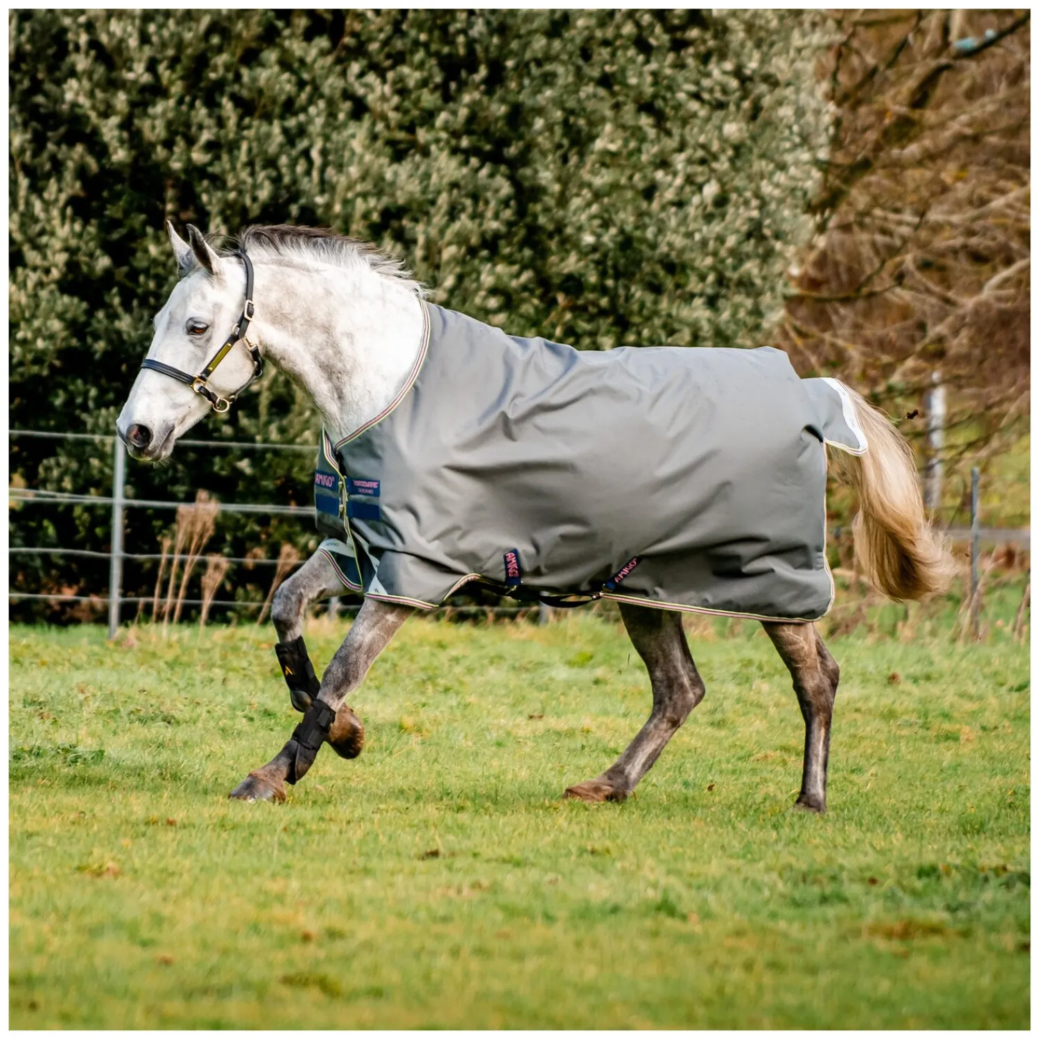 Horseware Pferdedecken<Outdoordecke AMIGO Hero Ripstop Lite