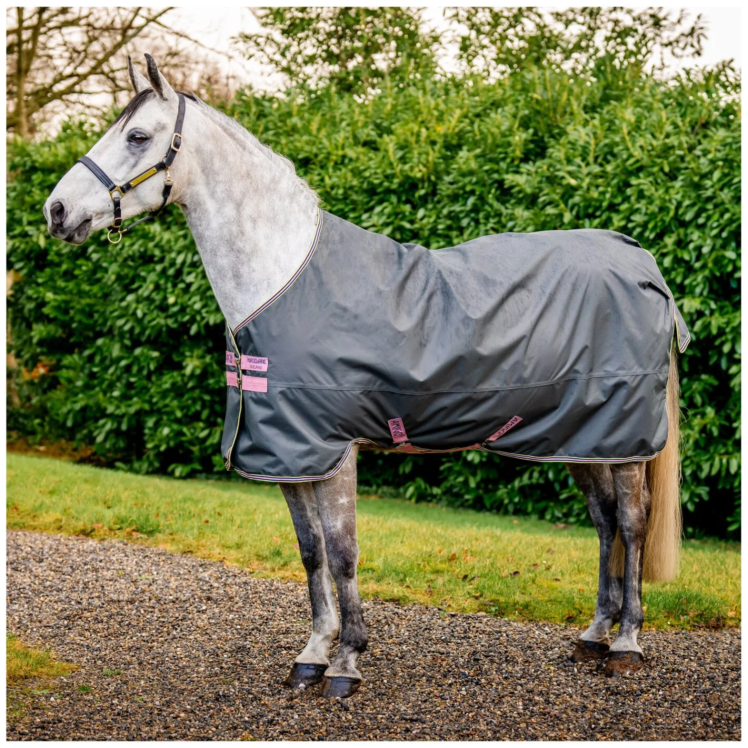 Horseware Pferdedecken<Outdoordecke AMIGO Hero Ripstop Lite