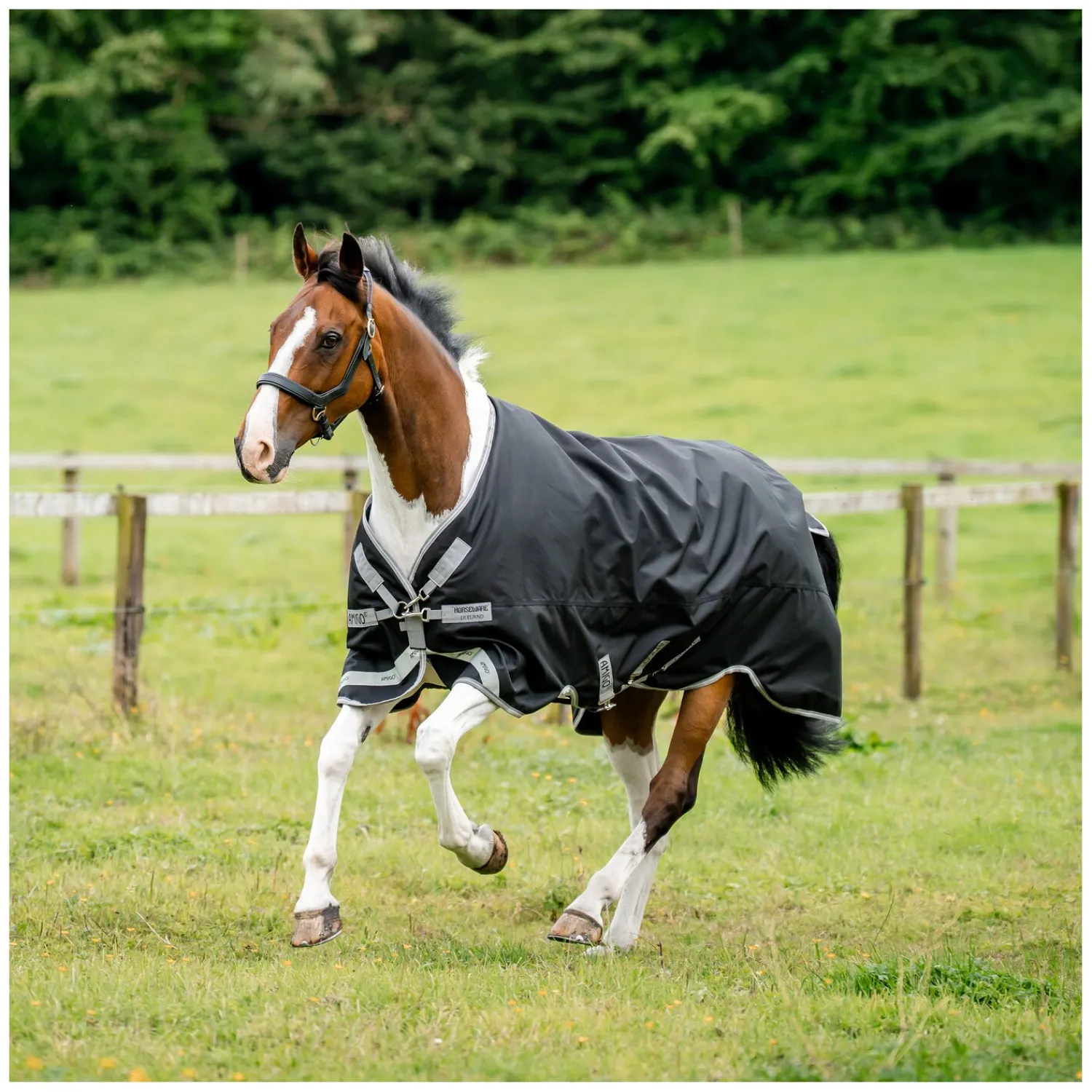 Horseware Pferdedecken<Outdoordecke AMIGO 1200, 250 g
