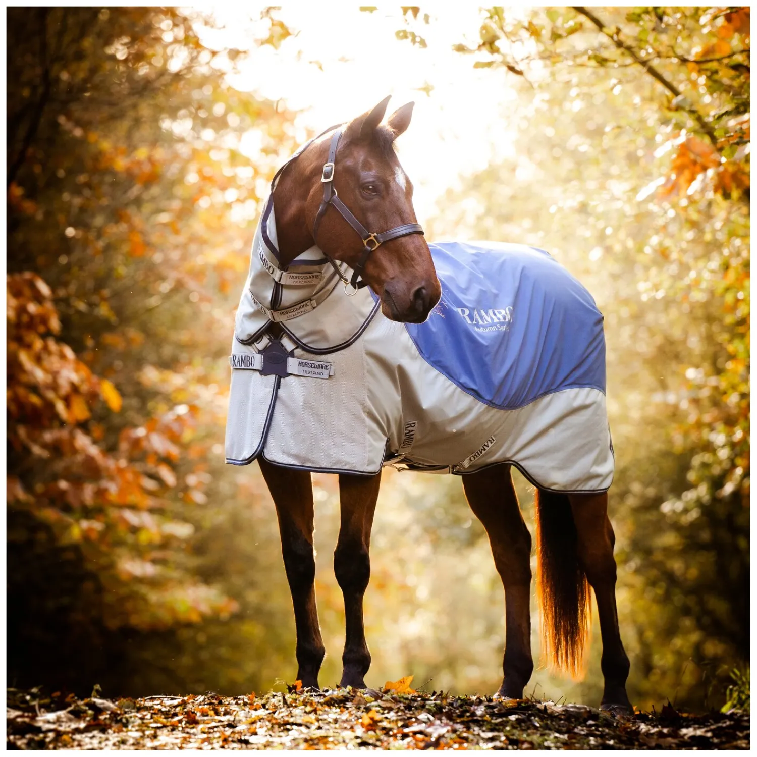 Horseware Pferdedecken<Outdoor-/Weidedecke RAMBO Autumn Series