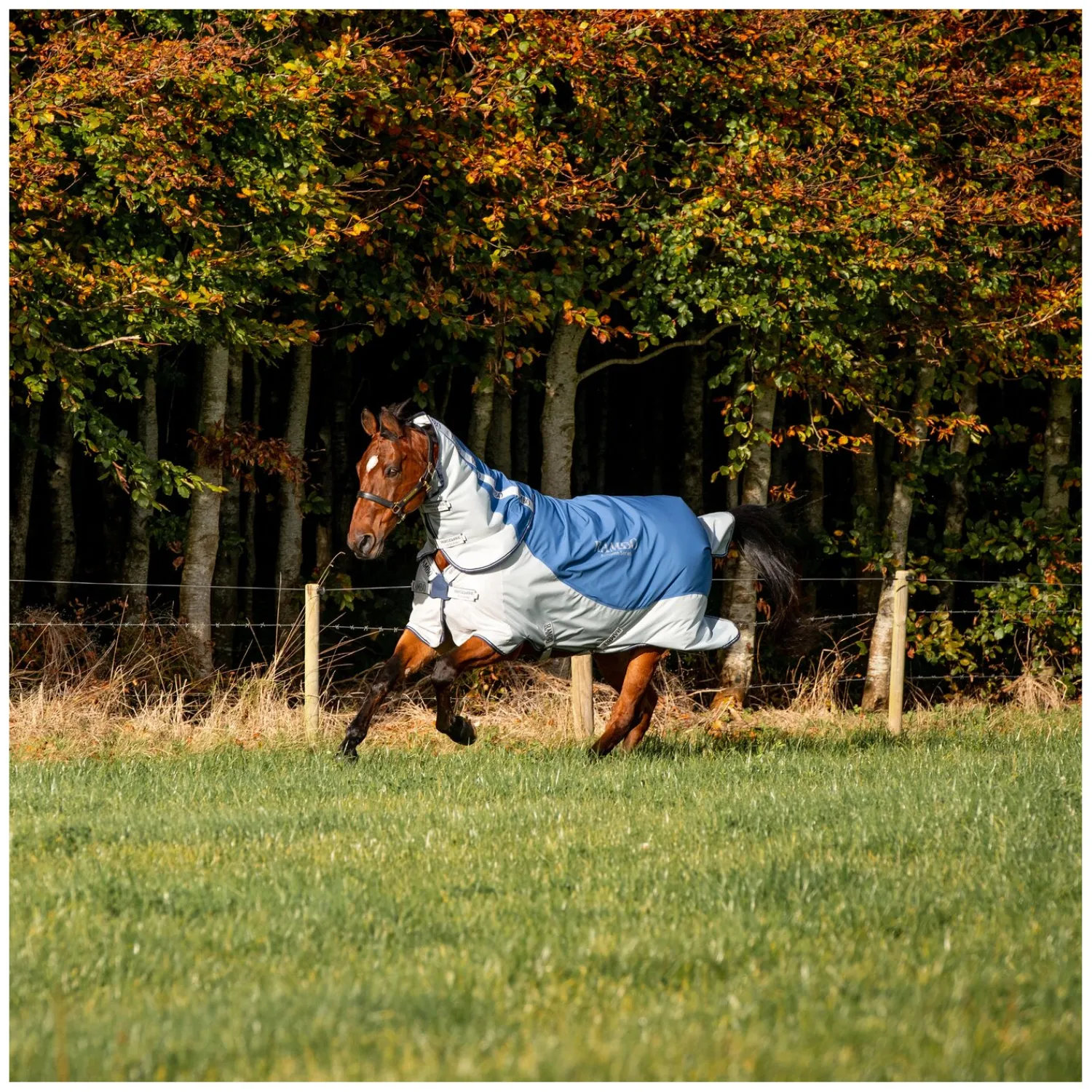 Horseware Pferdedecken<Outdoor-/Weidedecke RAMBO Autumn Series