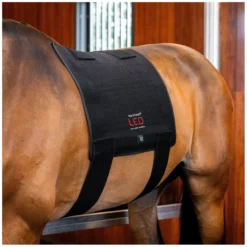 Loesdau Therapie<HORSEWARE Pad LED Red Light Therapy