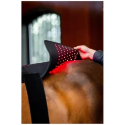 Loesdau Therapie<HORSEWARE Pad LED Red Light Therapy
