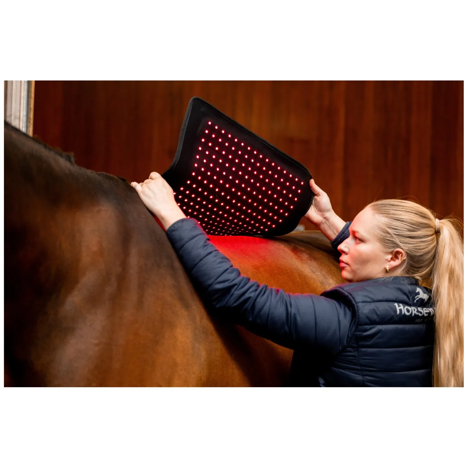 Loesdau Therapie<HORSEWARE Pad LED Red Light Therapy
