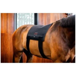 Loesdau Therapie<HORSEWARE Pad LED Red Light Therapy
