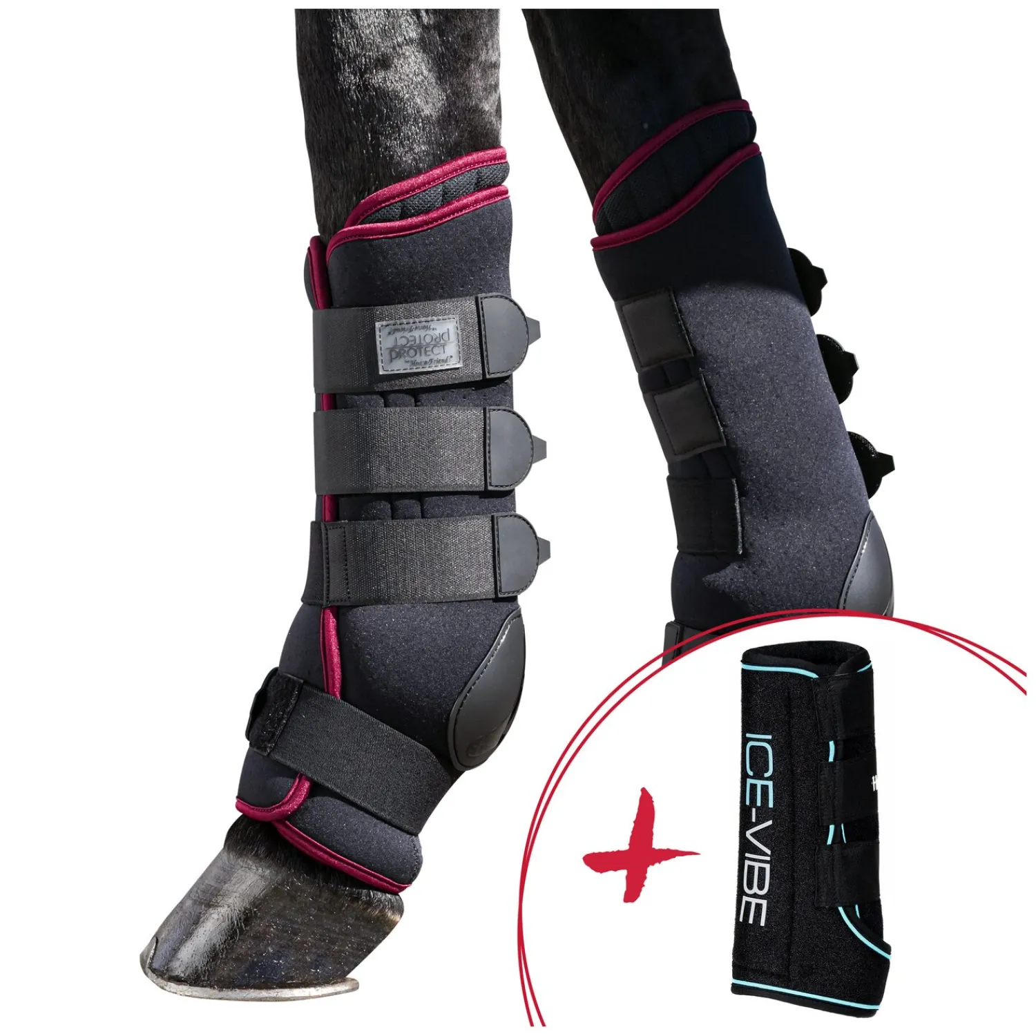 Loesdau Abkühlen Und Regenerieren|Gamaschen<HORSEWARE & PROTECT by Horse-friends Set Wellness - Ices-Vibes und Stallgamaschen