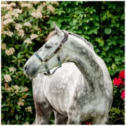 Horseware Halfter<Signature Halfter Braided