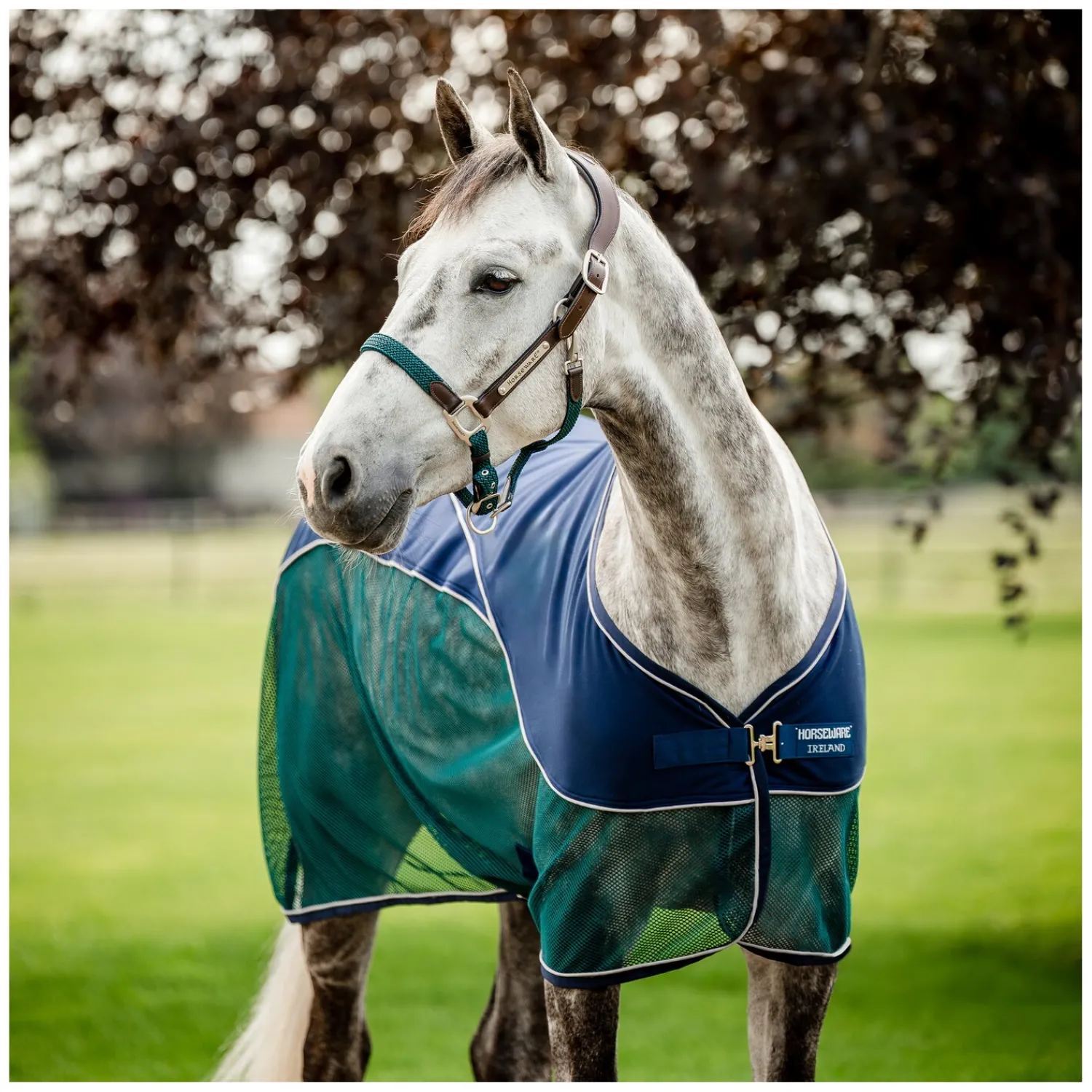 Horseware Pferdedecken|Transportdecken<Signature Hybrid-Abschwitzdecke Sport Cooler