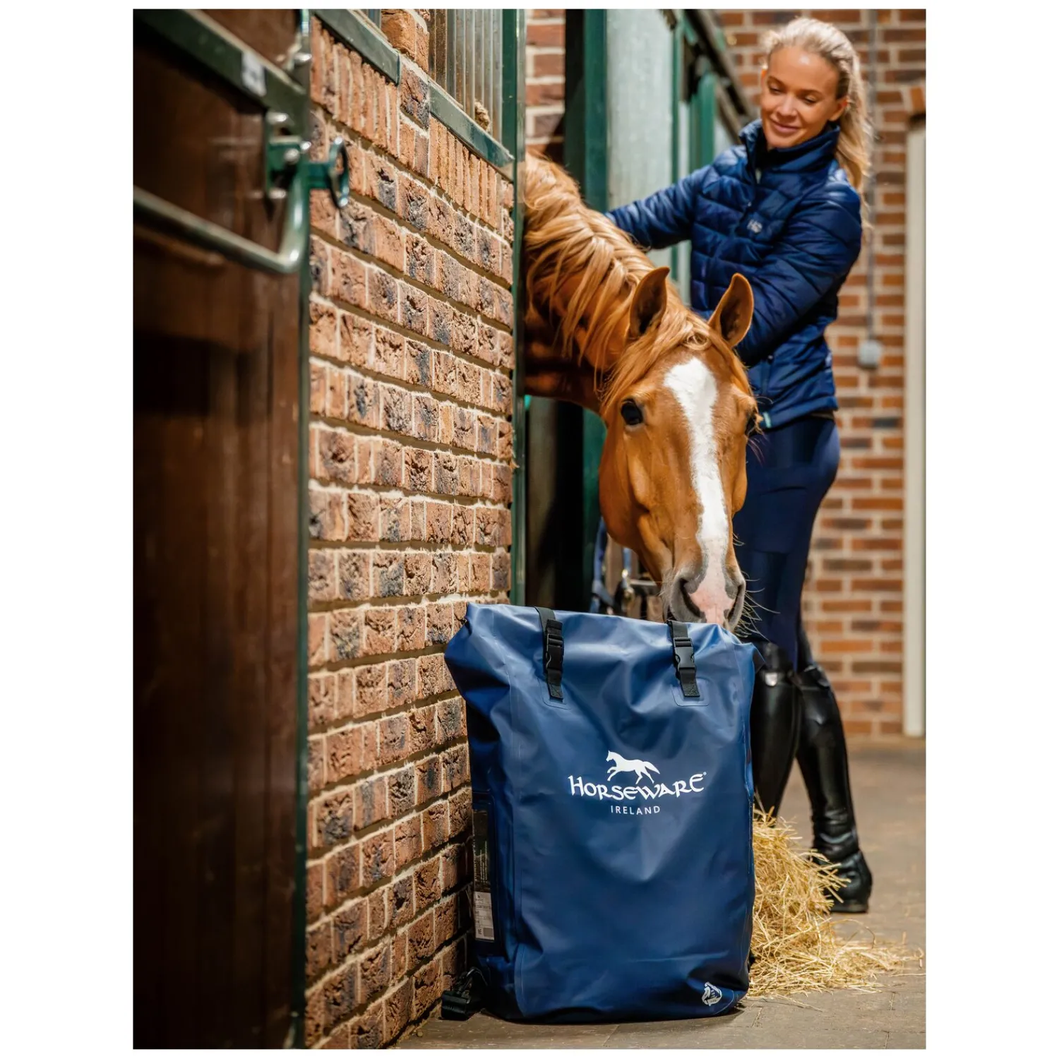 Loesdau Putzboxen|Taschen<HORSEWARE Signature Kit Bag