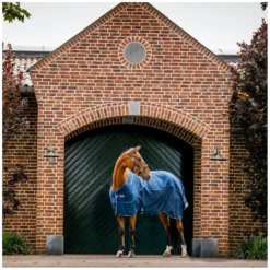 Horseware Pferdedecken|Transportdecken<Signature Transportdecke