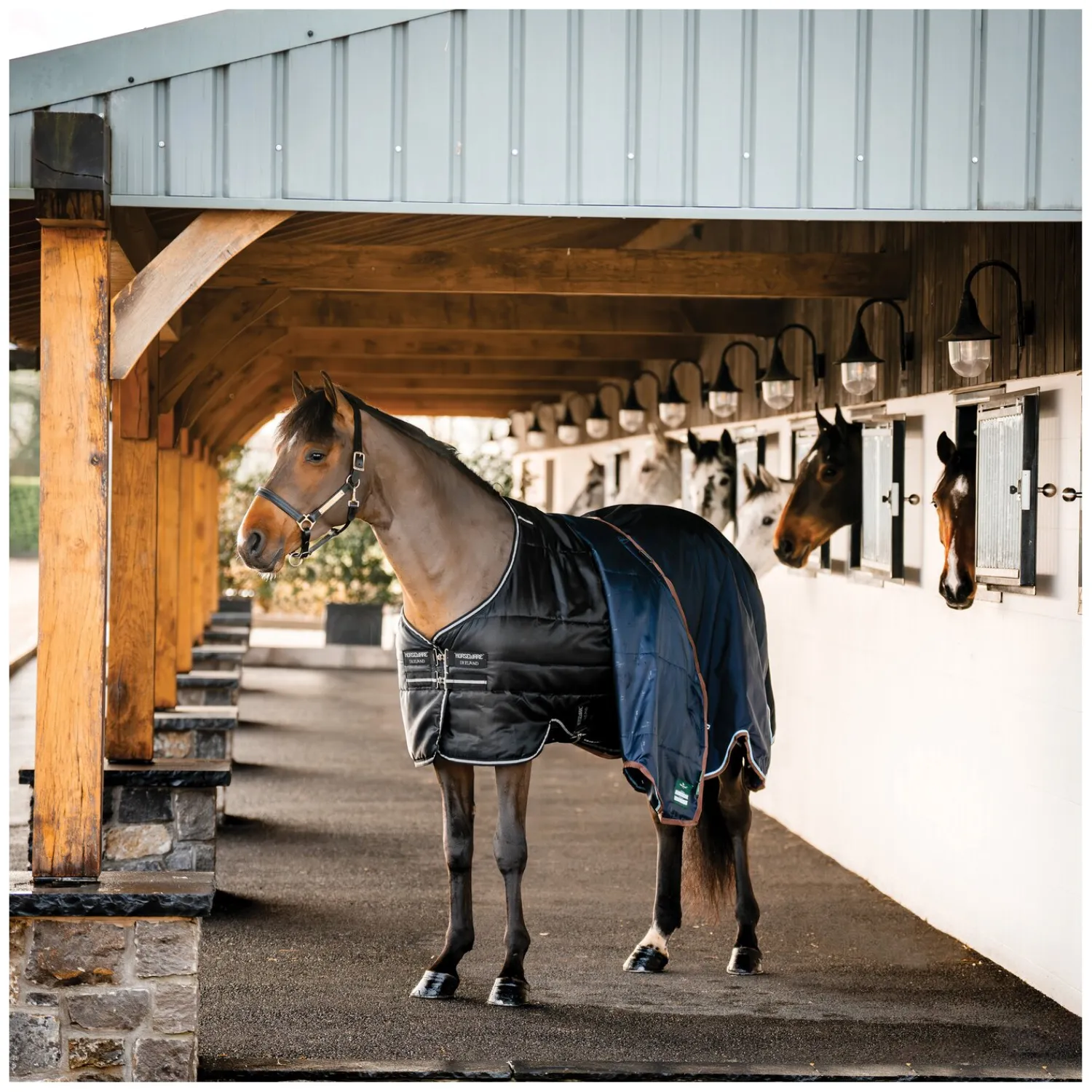 Horseware Pferdedecken<Stalldecke Easy-Layer Stable 100g
