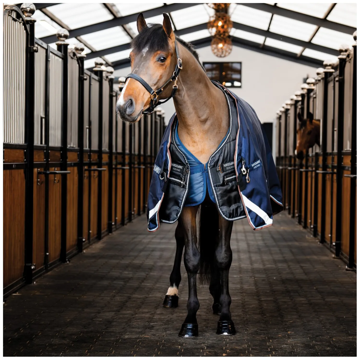 Horseware Pferdedecken<Stalldecke Easy-Layer Stable 100g