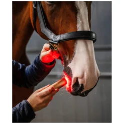 Loesdau Therapie<HORSEWARE Therapiestab LED Red Light Therapy