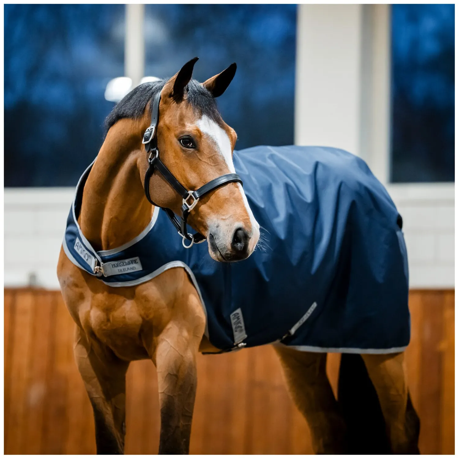 Horseware Pferdedecken<Trainingdecke AIGO Riptop 900D Waker Rug
