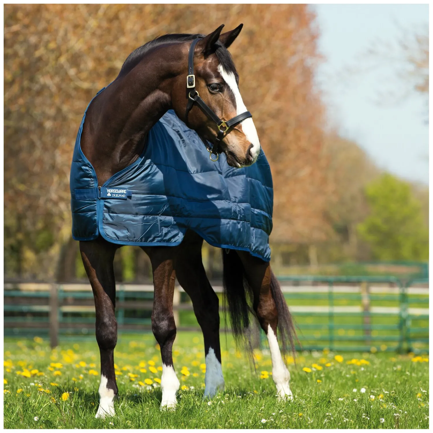 Horseware Pferdedecken<Unterdecke Liner 50 g