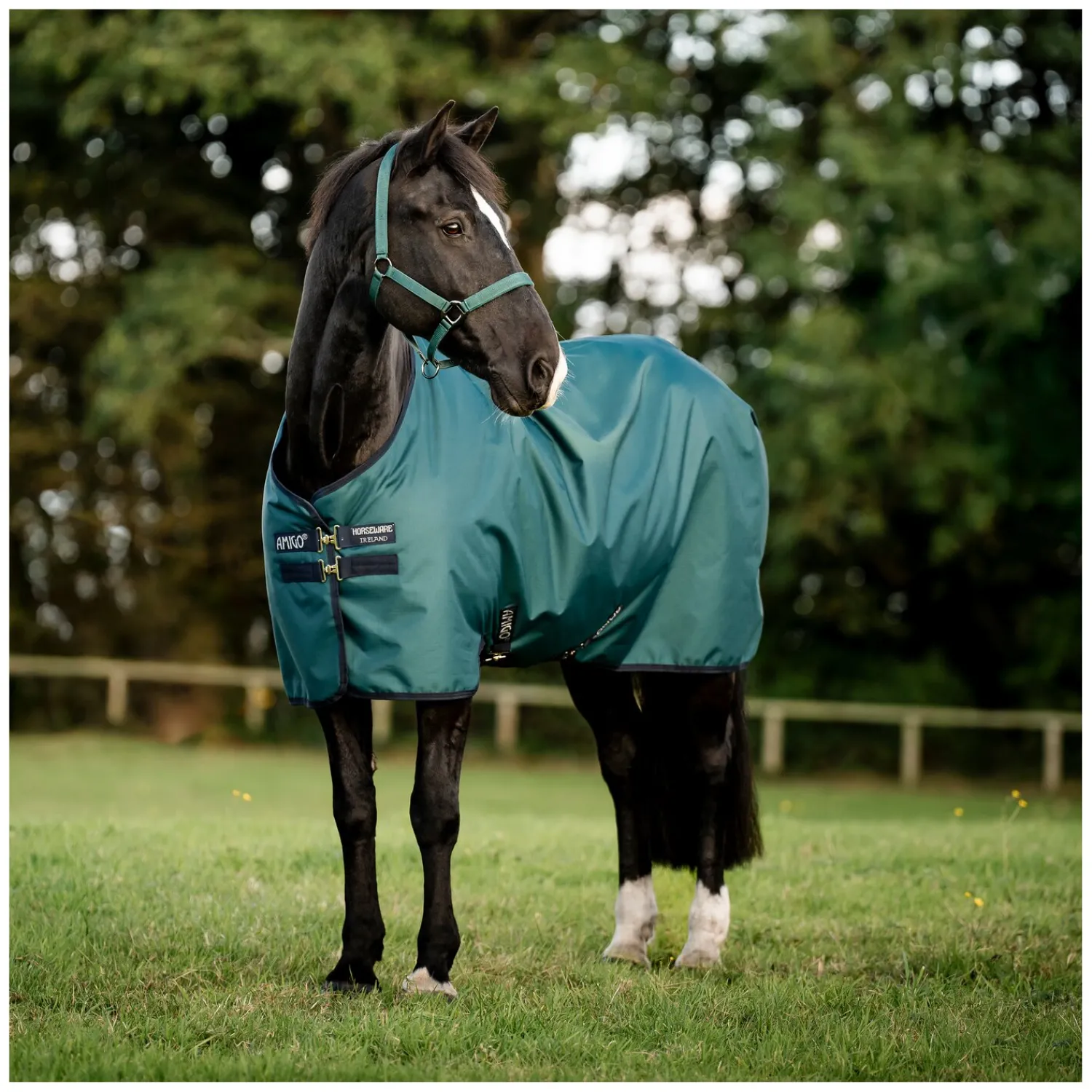 Horseware Pferdedecken<Weidedecke AMIGO Ripstop 900 Denier, ohne Füllung