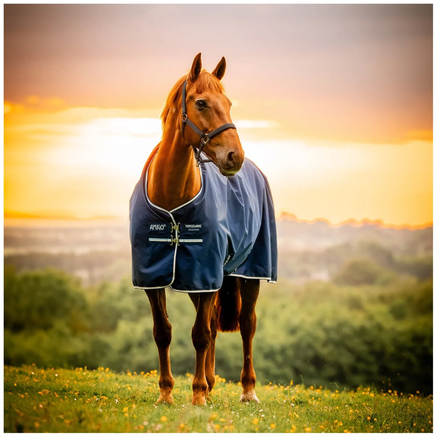 Horseware Pferdedecken<Weidedecke AMIGO Ripstop 900 Fleece Lining, 50 g