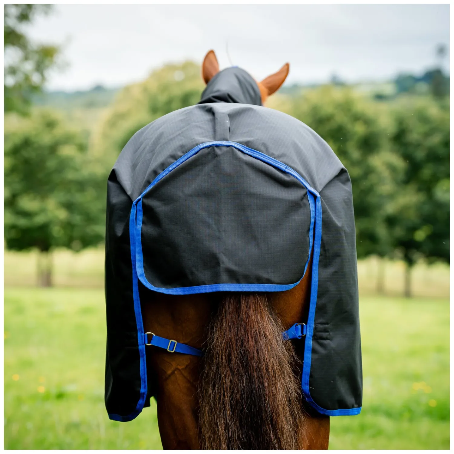 Horseware Pferdedecken<Weidedecke AMIGO Ripstop 900 Fleece Lining, 50 g