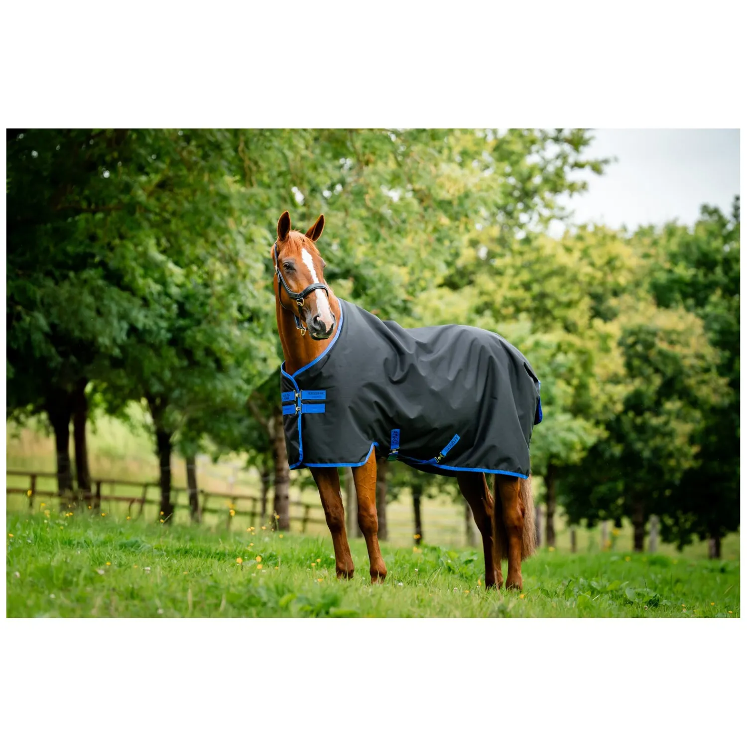 Horseware Pferdedecken<Weidedecke AMIGO Ripstop 900 Fleece Lining, 50 g