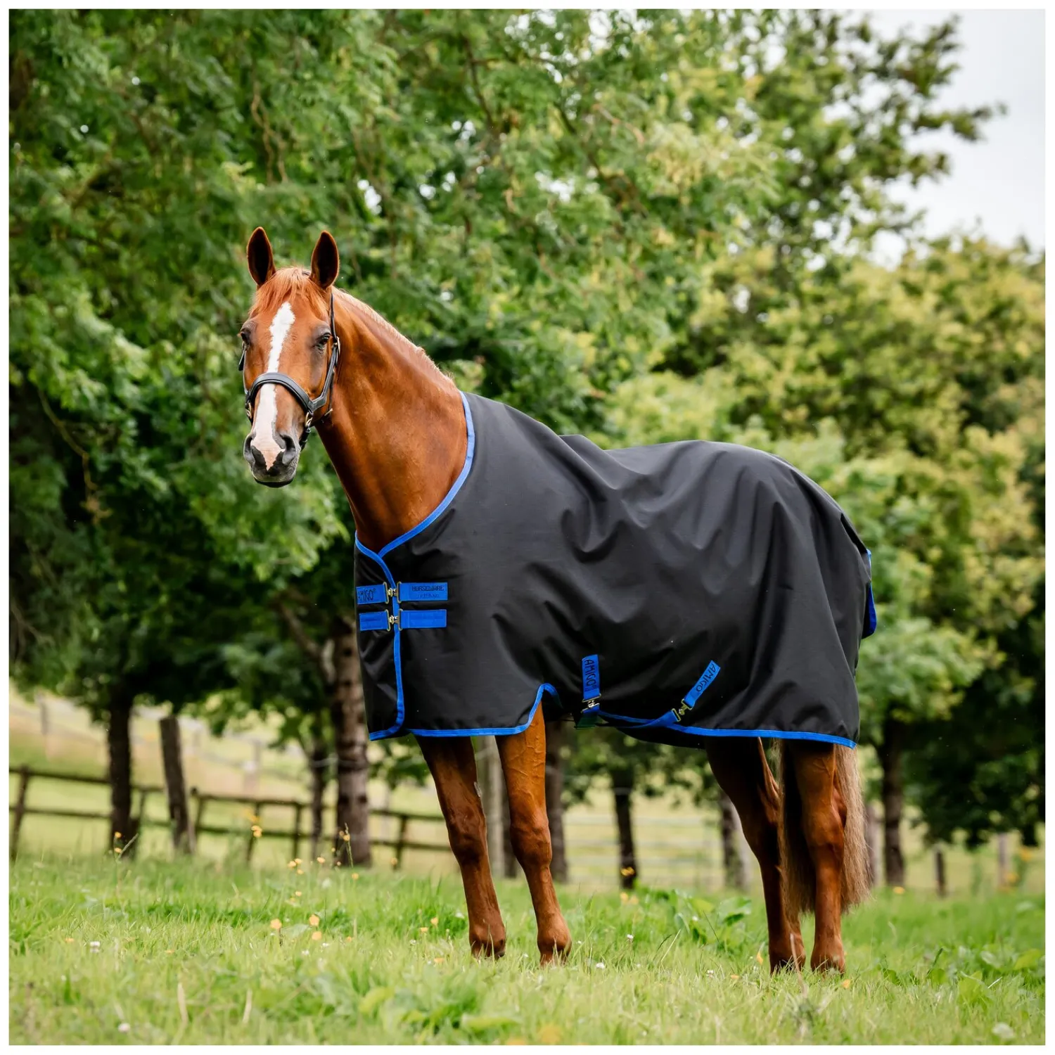 Horseware Pferdedecken<Weidedecke AMIGO Ripstop 900 Fleece Lining, 50 g
