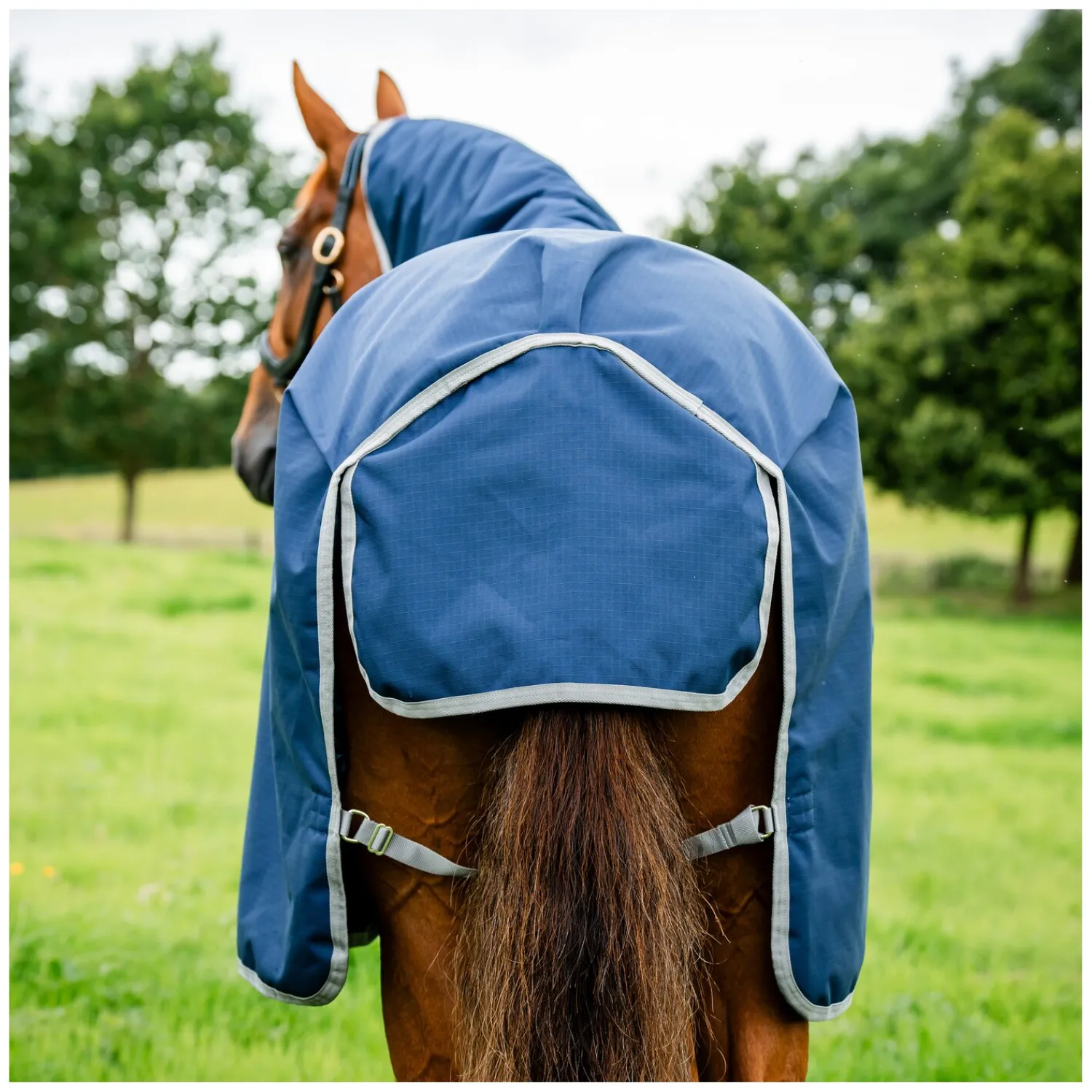 Horseware Pferdedecken<Weidedecke AMIGO Ripstop 900 D Turnout, 200 g