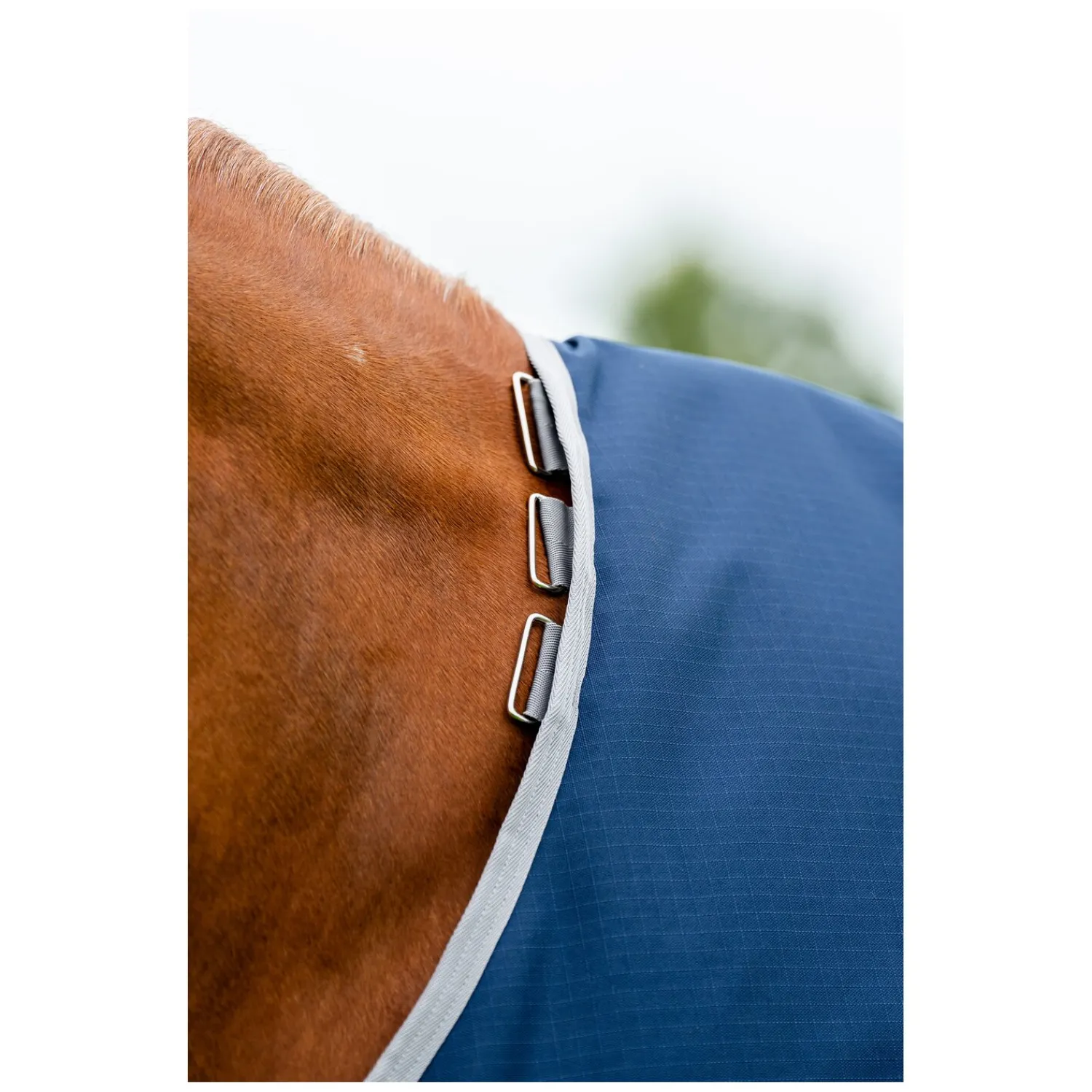 Horseware Pferdedecken<Weidedecke AMIGO Ripstop 900 D Turnout, 200 g