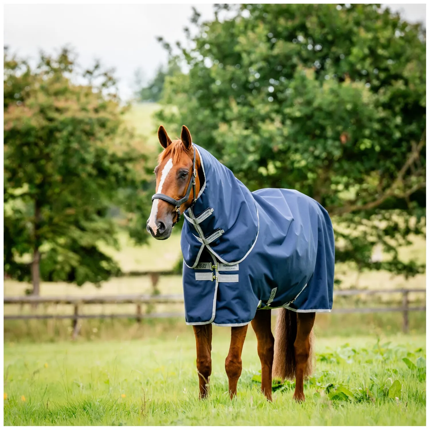 Horseware Pferdedecken<Weidedecke AMIGO Ripstop 900 Plus 200 g