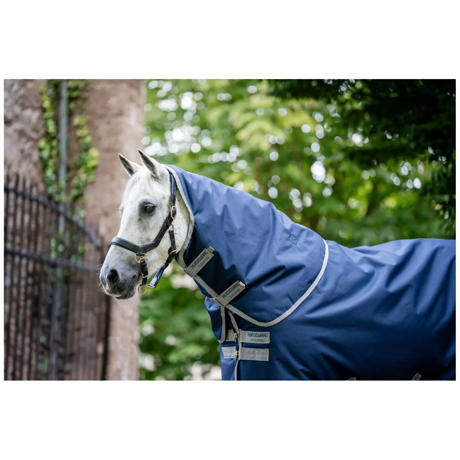 Horseware Pferdedecken<Weidedecke AMIGO Ripstop 900 Plus 200 g