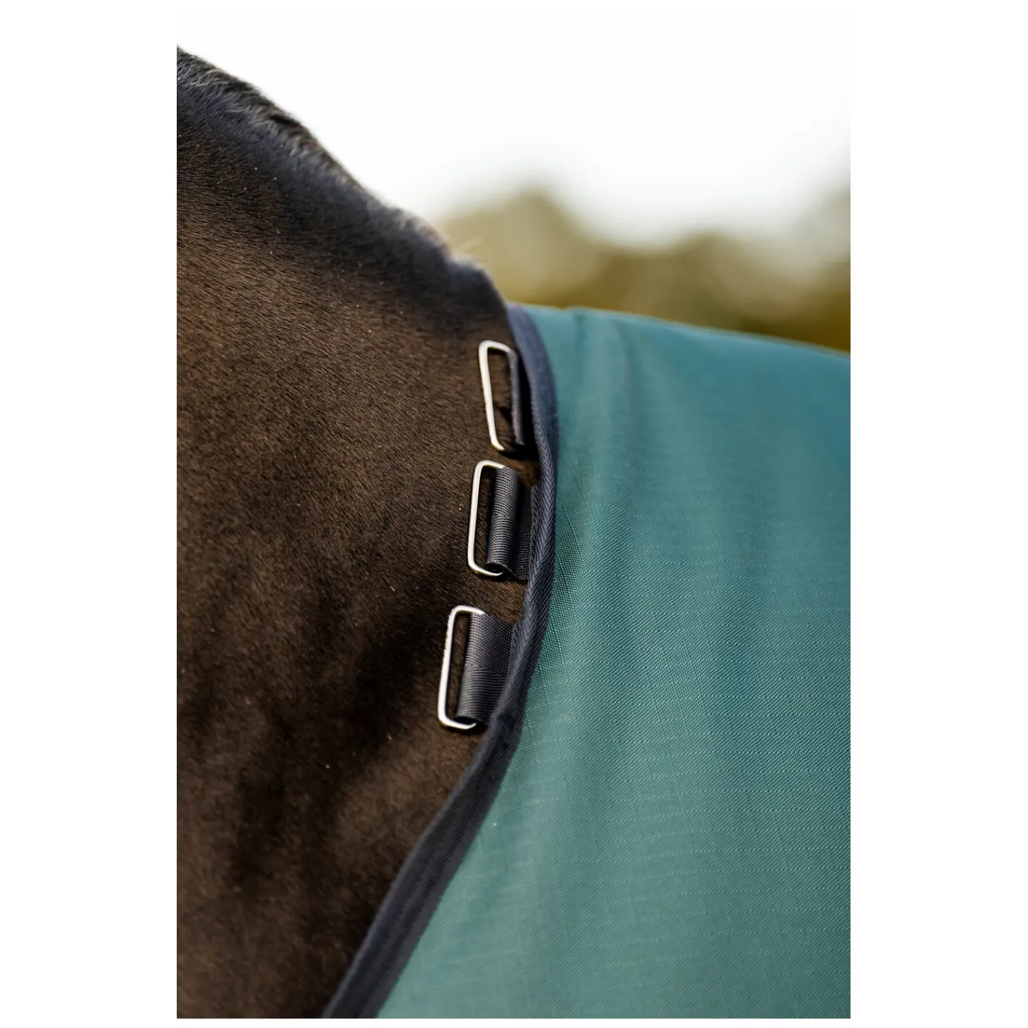 Horseware Pferdedecken<Weidedecke AMIGO Ripstop 900 Denier, 50g