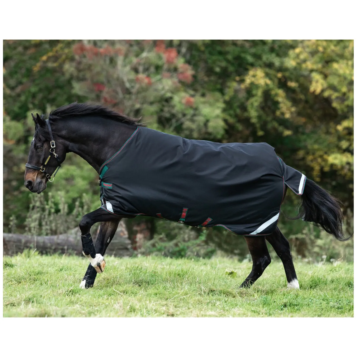 Loesdau Pferdedecken<HORSEWARE Weidedecke RAMBO Original Medium