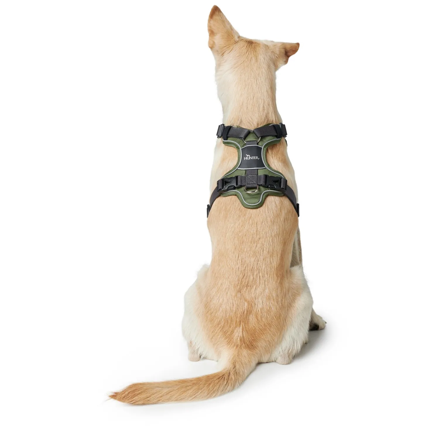 HUNTER Hundegeschirre<Gechirr Divo