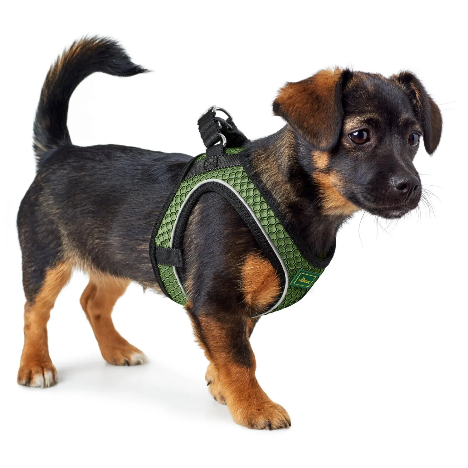 HUNTER Hundegeschirre<Geschirr Hilo Comfort
