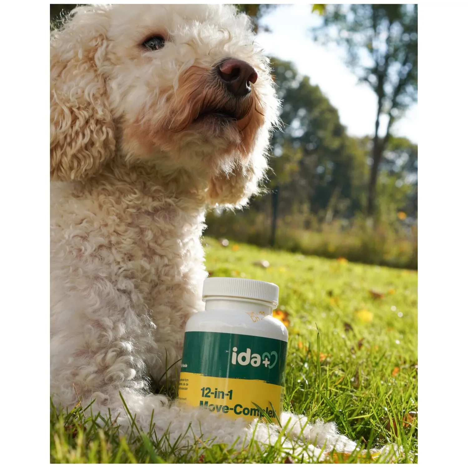 Loesdau Zusatzfutter<ida+plus 12-in-1 Move-Complex