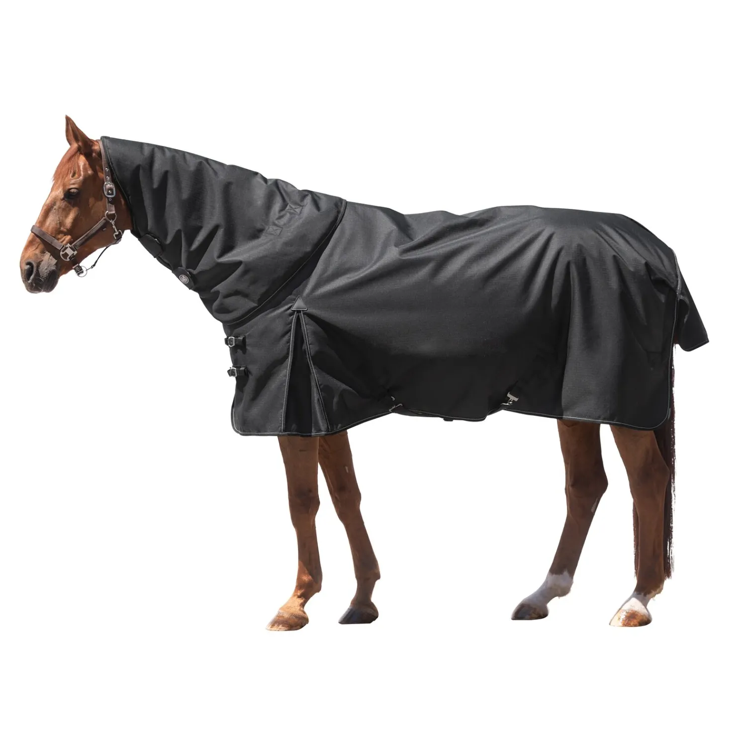 IRISh INNOVATION Pferdedecken<Outdoordecke Charlotte 200 g