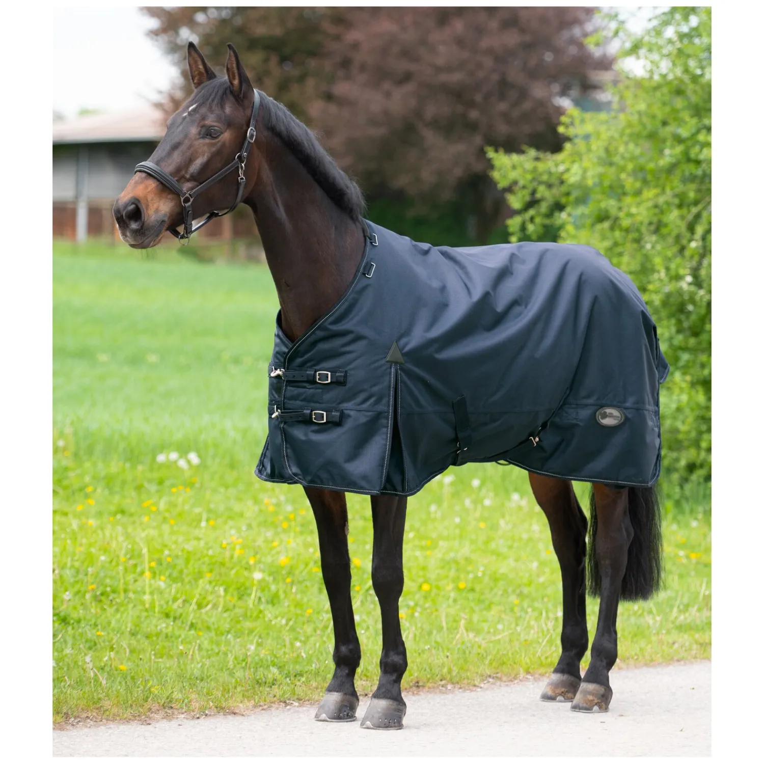 IRISh INNOVATION Pferdedecken<Outdoordecke Charlotte 50 g