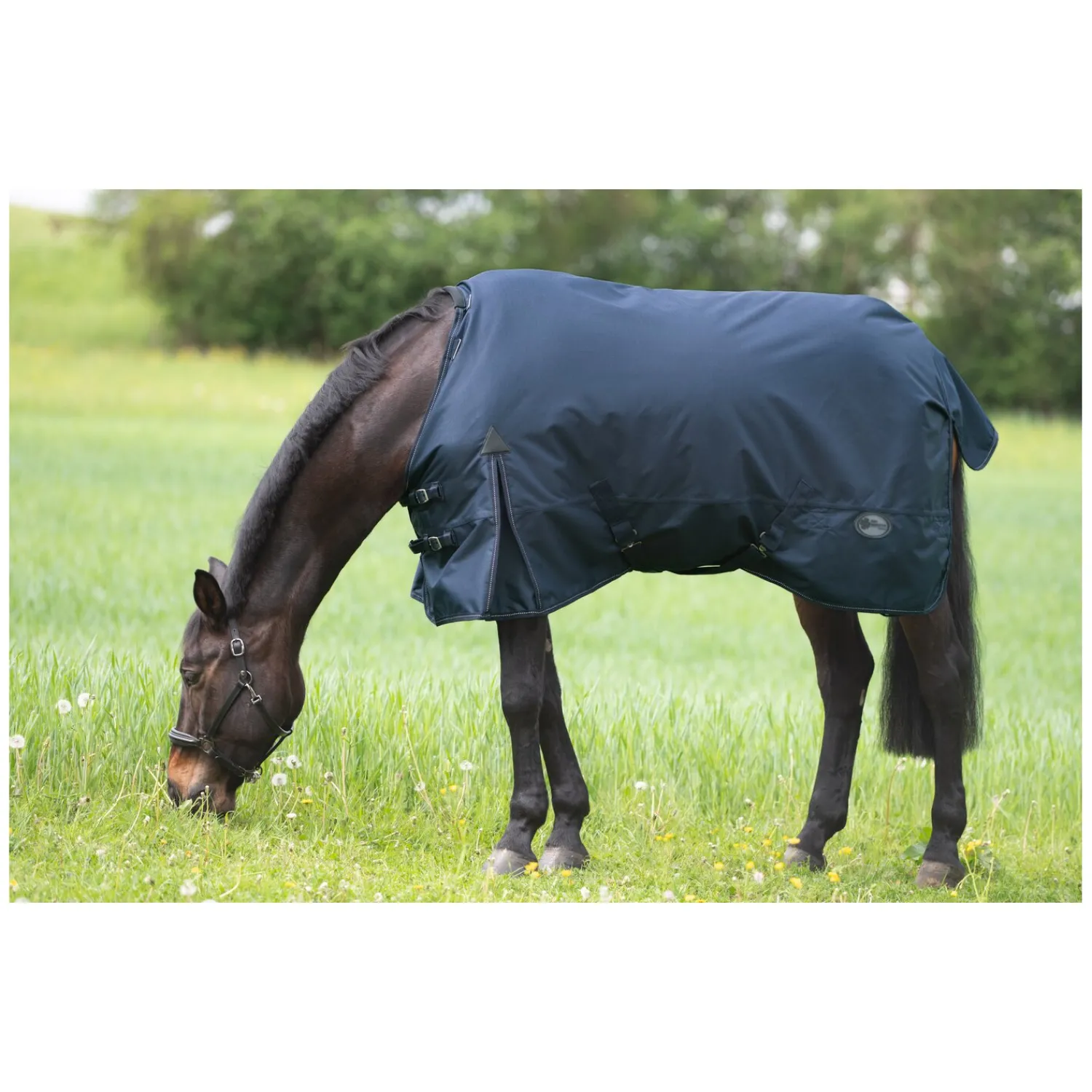 IRISh INNOVATION Pferdedecken<Outdoordecke Charlotte 50 g
