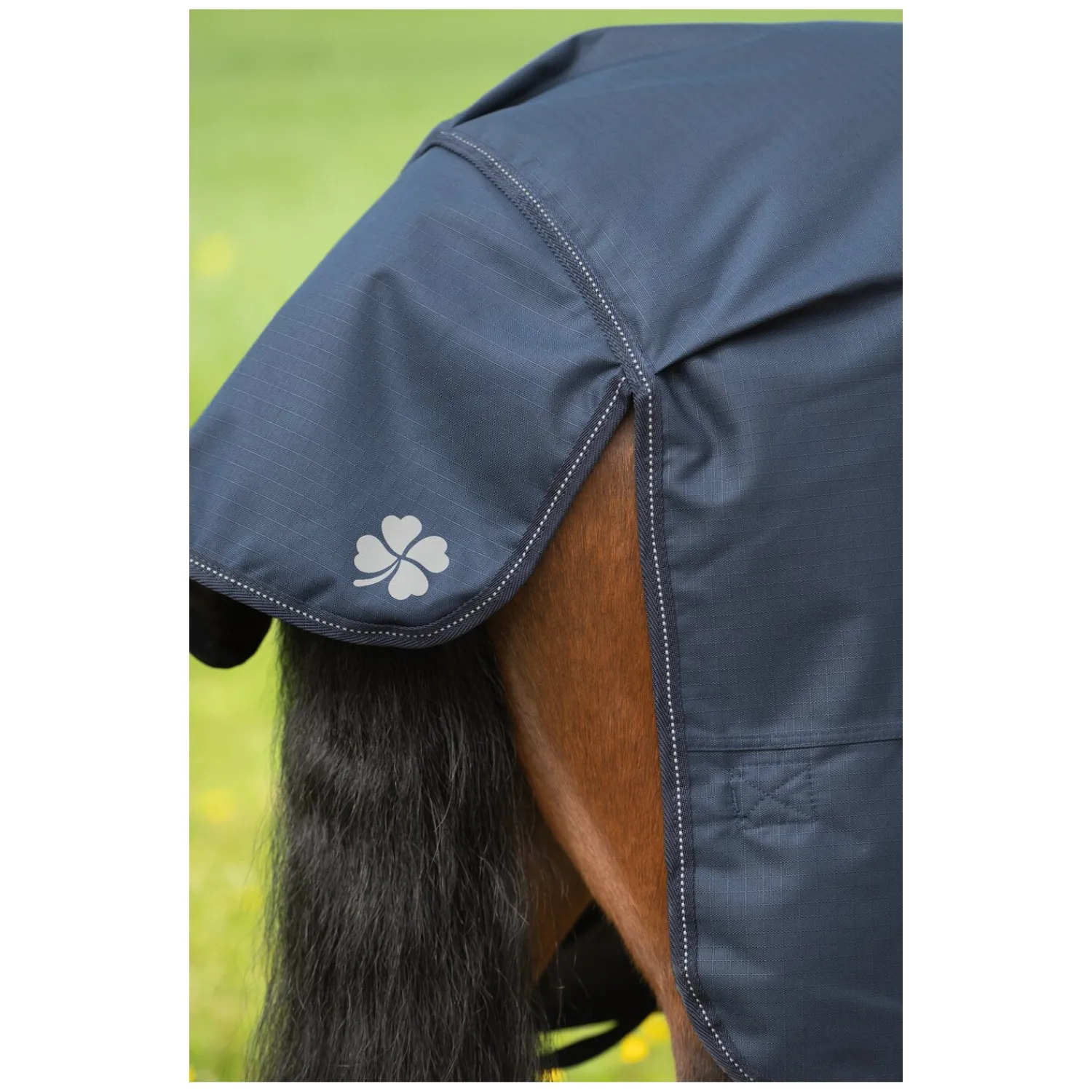 IRISh INNOVATION Pferdedecken<Outdoordecke Charlotte 50 g