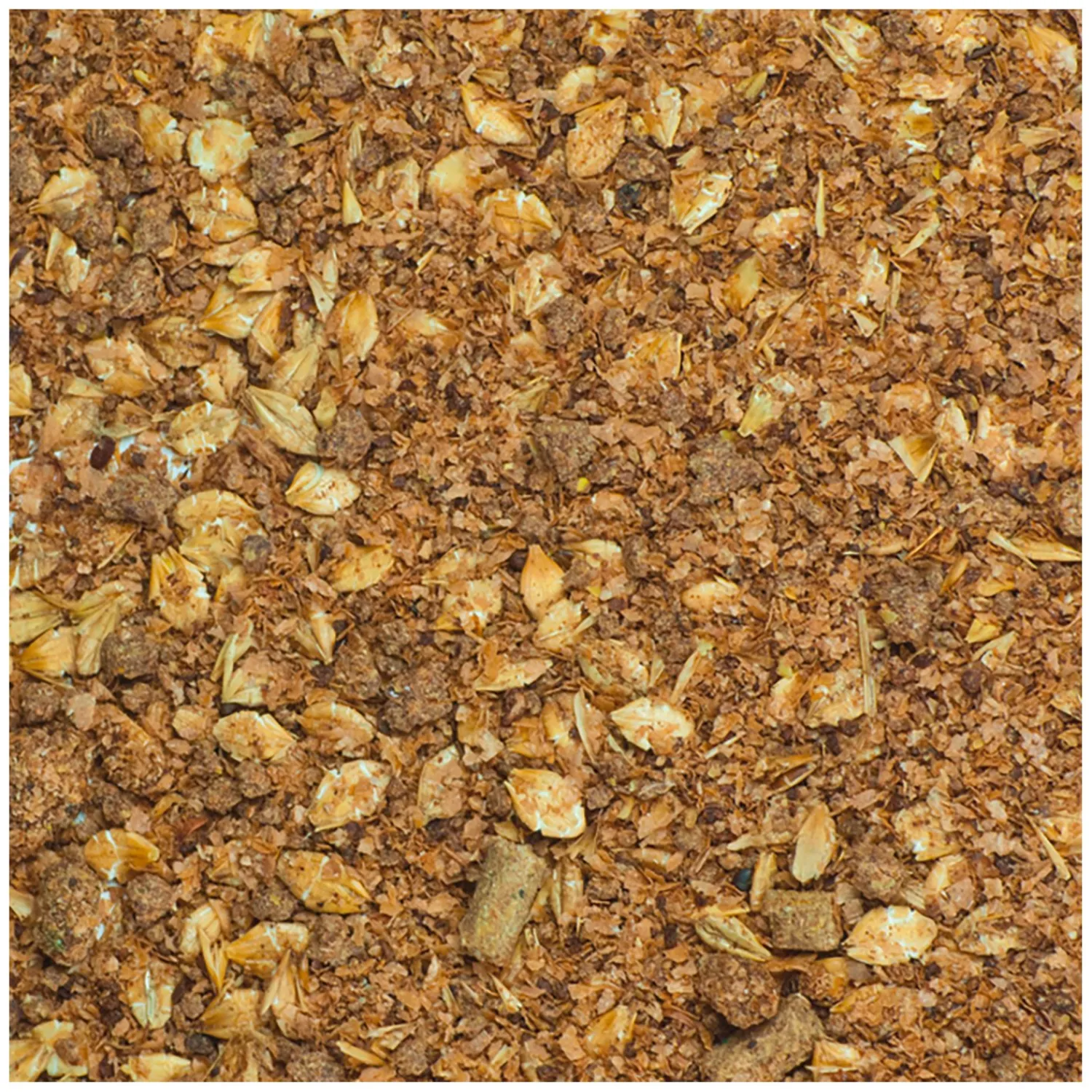 Loesdau Kraftfutter<Josera Mash Rapid