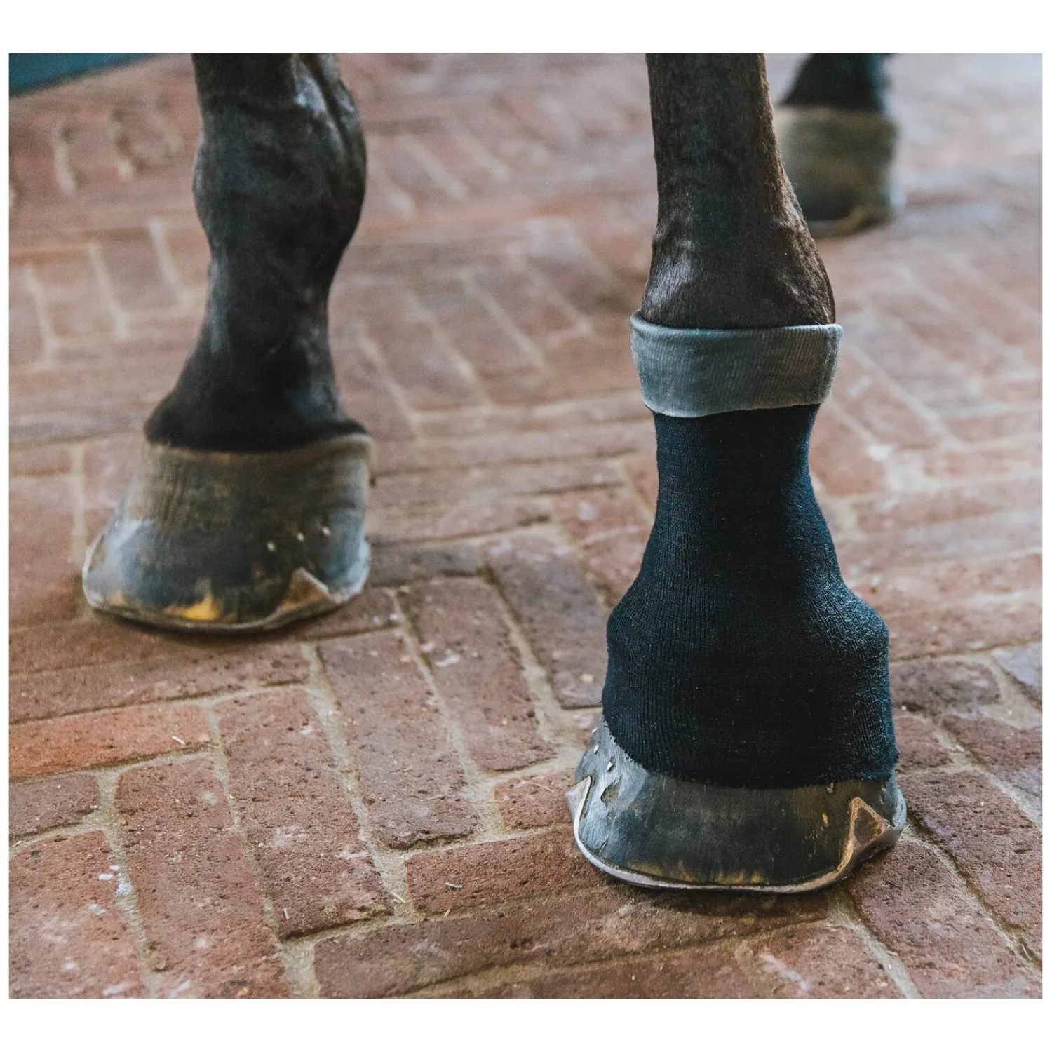 Loesdau Therapie|Bandagen<KENTUCKY Bandagenstrumpf Tendon Grip Gel