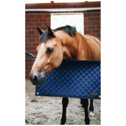 Loesdau Weiteres Stallzubehör<KENTUCKY Boxentürvorhang