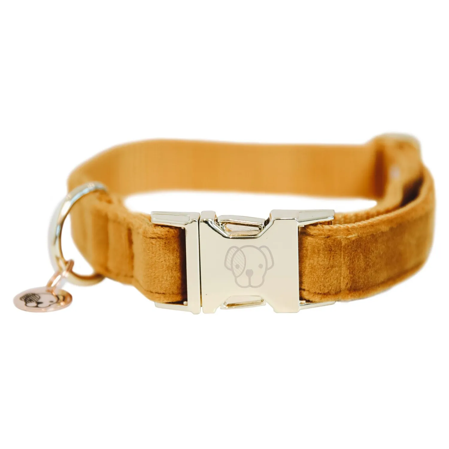 KENTUCKY Dogwear Hundehalsbänder<Hundehasband Vevet
