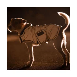 KENTUCKY Dogwear Hundemäntel<Hundeante refektierend und waerabweiend