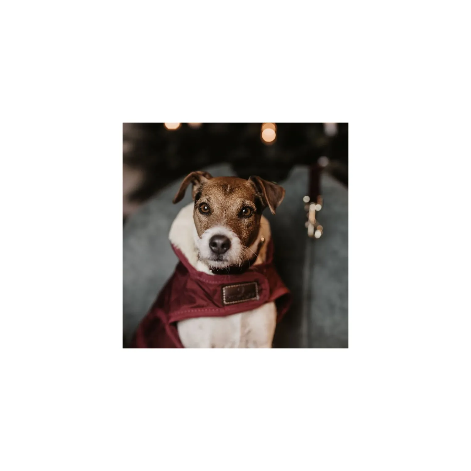 KENTUCKY Dogwear Hundemäntel<Hundeante Origina